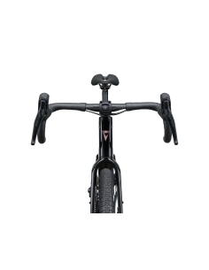 Gravel bike GIANT Revolt Advanced 2 (2025) Carbon (M/L) 2