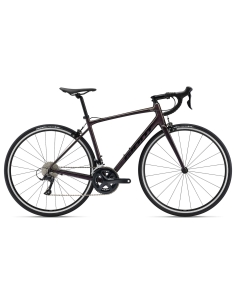 Bicycle Giant Contend 1, Rosewood (M)