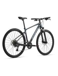 GIANT Roam 2 Bicycle, Asphalt Green (L) 2