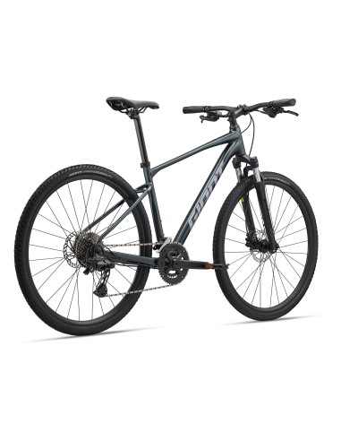 GIANT Roam 2 Bicycle, Asphalt Green (L)