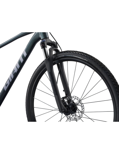 GIANT Roam 2 Bicycle, Asphalt Green (L)