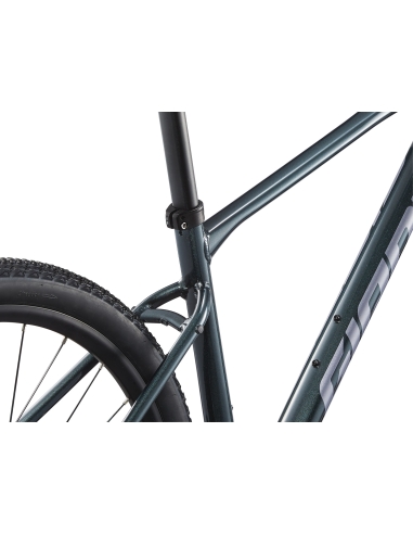 GIANT Roam 2 Bicycle, Asphalt Green (L)