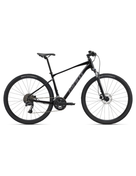 GIANT Roam 2 Bicycle, Black (M)