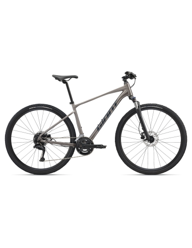 Велосипед GIANT Roam 3, металлический (L)