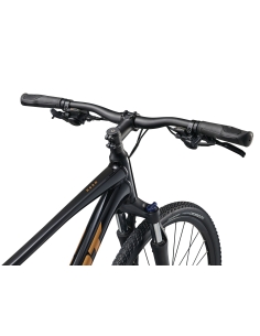 Polkupyörä GIANT Roam 4, musta (XL) 2