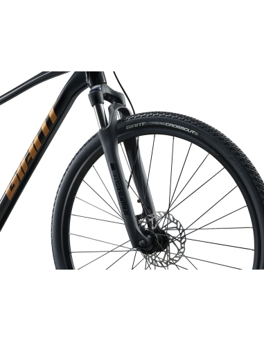 Bicycle GIANT Roam 4, Black (XL)