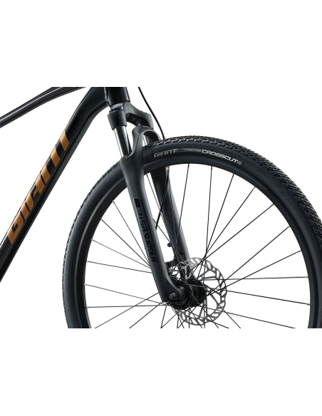 Polkupyörä GIANT Roam 4, musta (XL)