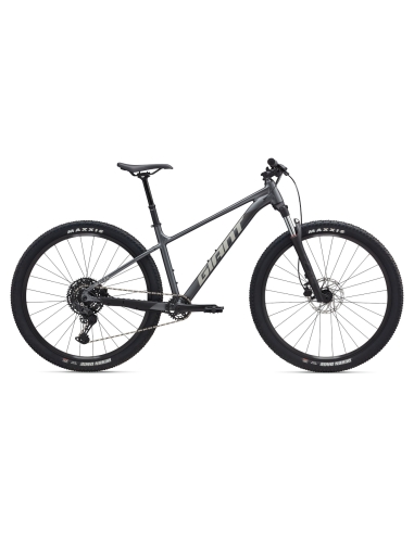 Jalgratas GIANT Talon 1, 29" Charcoal (M)