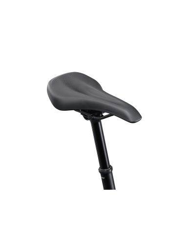 Bicycle GIANT Talon 1, 29" Charcoal (M)