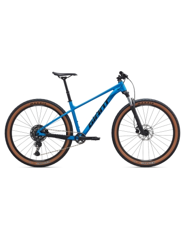 Jalgratas GIANT Talon 1, 29" Metallic Blue (M)