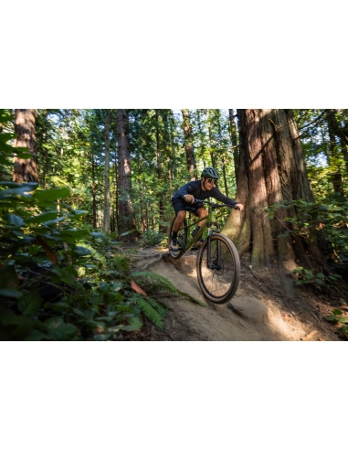 Bicycle GIANT Talon 2, 27.5" XS, Dried Matcha