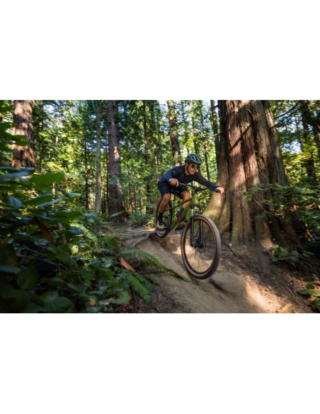 Bicycle GIANT Talon 2, 27.5" XS, Dried Matcha