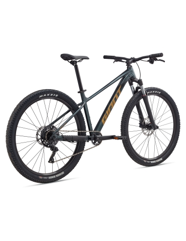 Bicycle GIANT Talon 2, 29" Asphalt Green (L)