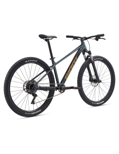 Bicycle GIANT Talon 2, 29" Asphalt Green (XL) 2
