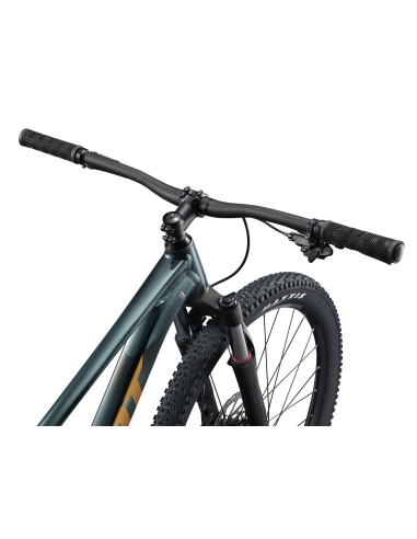 Bicycle GIANT Talon 2, 29" Asphalt Green (XL)
