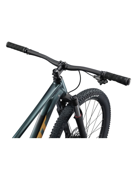 GIANT Talon 2 -polkupyörä, 29" asfaltinvihreä (XL)