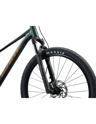 Bicycle GIANT Talon 2, 29" Asphalt Green (XL)