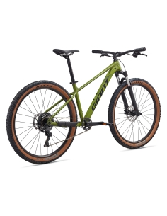 Bicycle GIANT Talon 2, 29" Dried Matcha (L) 2