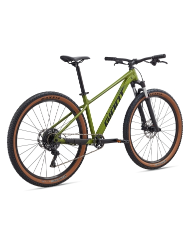 Jalgratas GIANT Talon 2, 29" Dried Matcha (L)