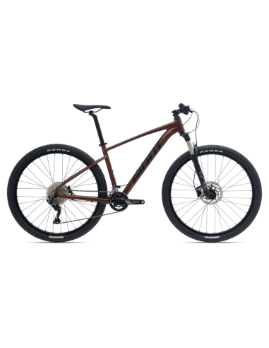 Jalgratas GIANT Talon 29 1 GE, Hematite (L)