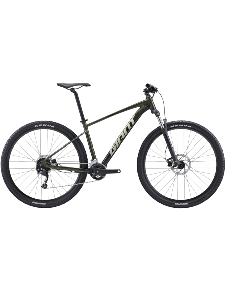 Jalgratas GIANT Talon 29 2, Phantom green (L)