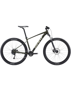 Bicycle GIANT Talon 29 2, Phantom green (M)