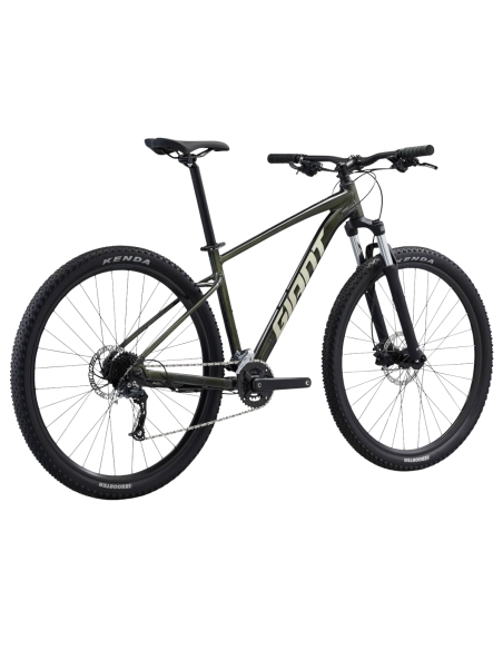 Bicycle GIANT Talon 29 2, Phantom green (M)
