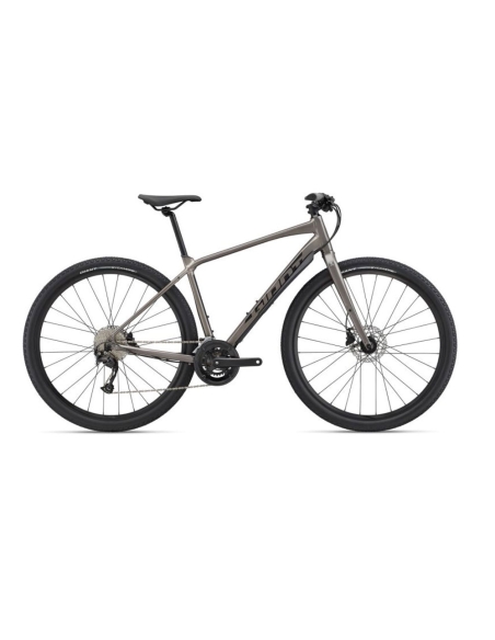 Jalgratas GIANT ToughRoad SLR 2, Metal (L)