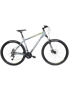 Bicycle ROMET Rambler R9.1, 29" gray-green (XL)