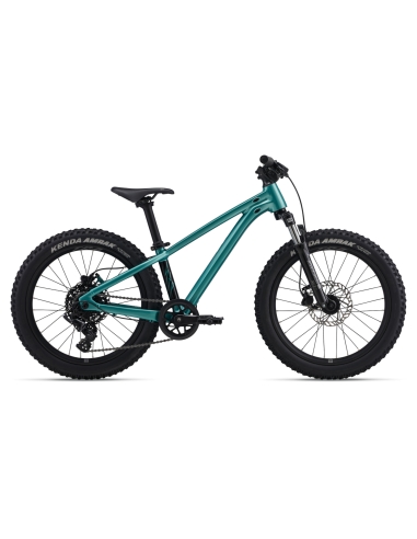 Children's bicycle GIANT STP 20 FS, Teal