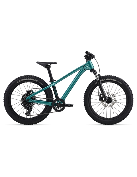 Laste jalgratas GIANT STP 20 FS, Teal