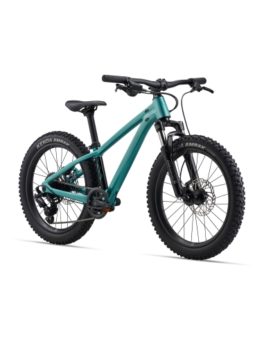 Laste jalgratas GIANT STP 20 FS, Teal