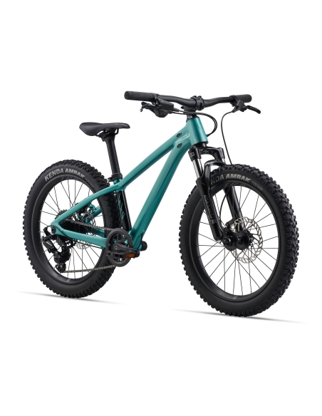 Laste jalgratas GIANT STP 20 FS, Teal