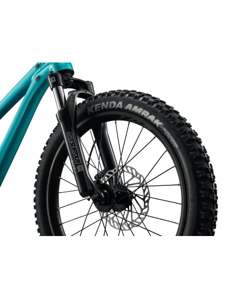 Laste jalgratas GIANT STP 20 FS, Teal