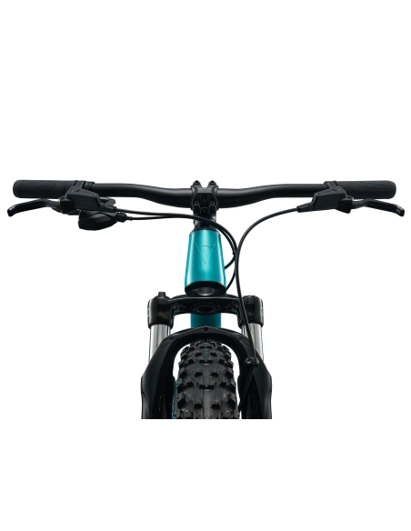Children's bicycle GIANT STP 20 FS, Teal