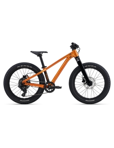 Children's bicycle GIANT STP 20, Metallic Orange