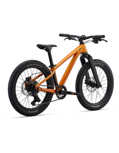 Children's bicycle GIANT STP 20, Metallic Orange