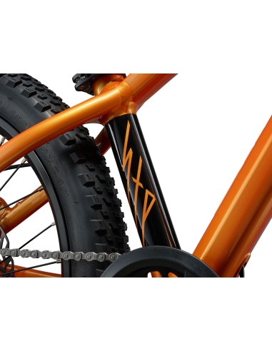 Children's bicycle GIANT STP 20, Metallic Orange