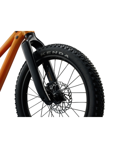 Laste jalgratas GIANT STP 20, Metallic Orange