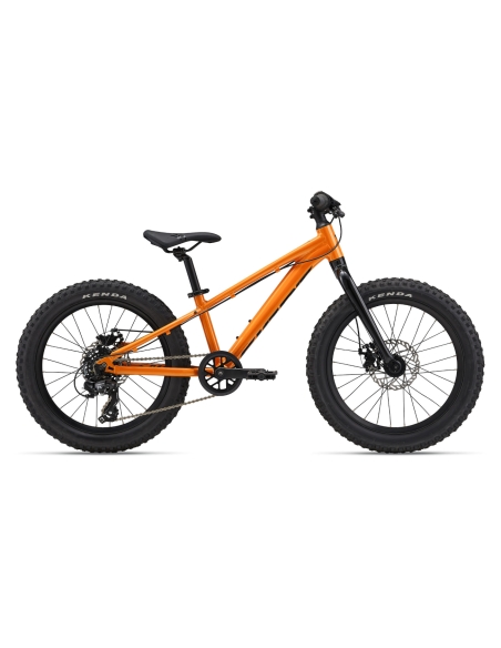Laste jalgratas GIANT STP 20, Sandstorm