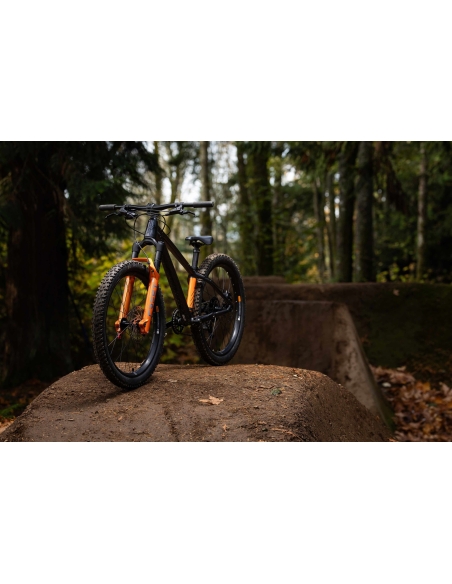 Laste jalgratas GIANT STP 24 (2026) Black Chrome