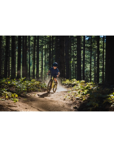 Laste jalgratas GIANT Talon 20, Muscat Blanc