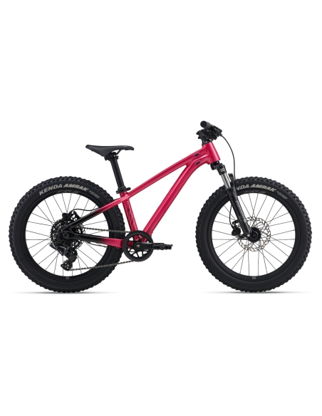 Children's bicycle LIV STP 20 FS, Hot Pink