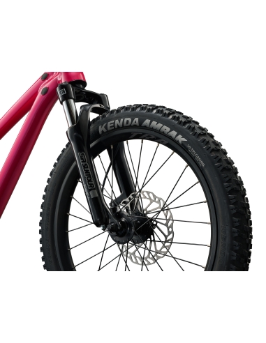 Children's bicycle LIV STP 20 FS, Hot Pink