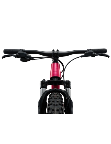 Laste jalgratas LIV STP 20 FS, Hot Pink