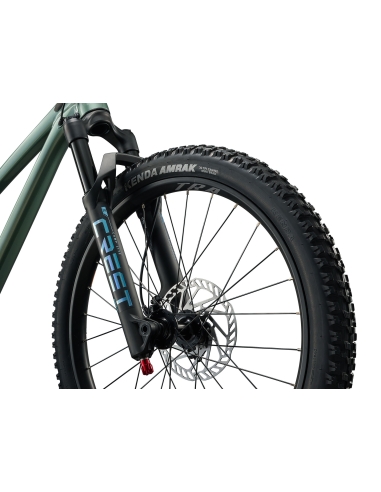 Children's bike LIV STP 20, Soap Suds