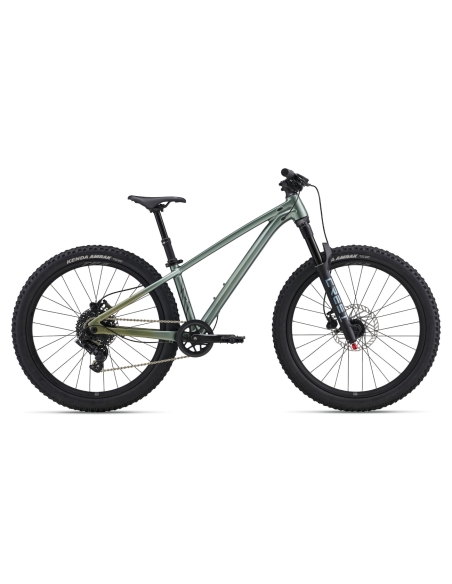 Children's bicycle LIV STP 24, Alpine Green