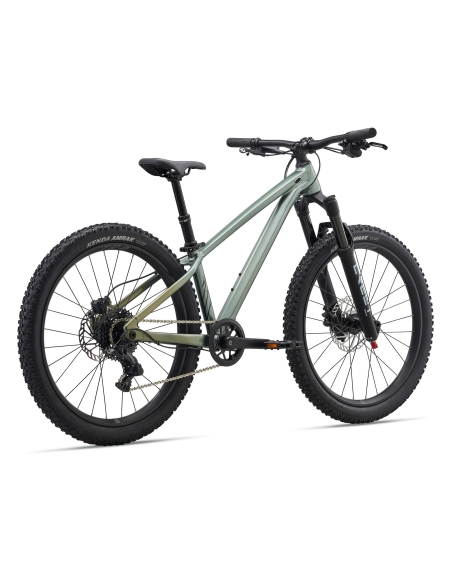 Laste jalgratas LIV STP 24, Alpine Green