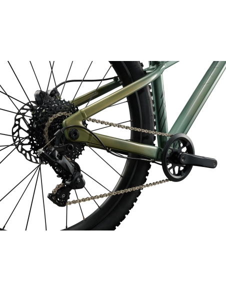 Laste jalgratas LIV STP 24, Alpine Green