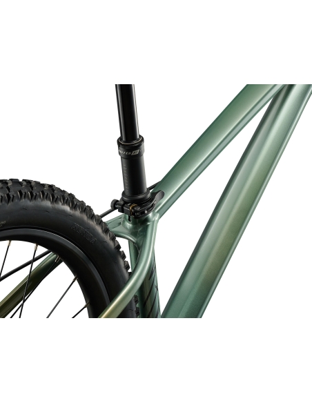 Laste jalgratas LIV STP 24, Alpine Green